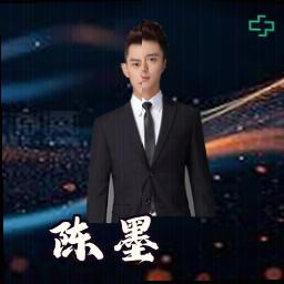 陈墨