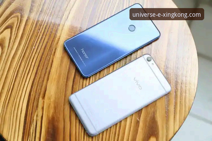 星空官方网站安卓版 vs. 传统下载渠道：移动端体验的全面对比分析